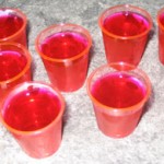 jellyshots jelly shots