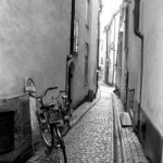 bikes